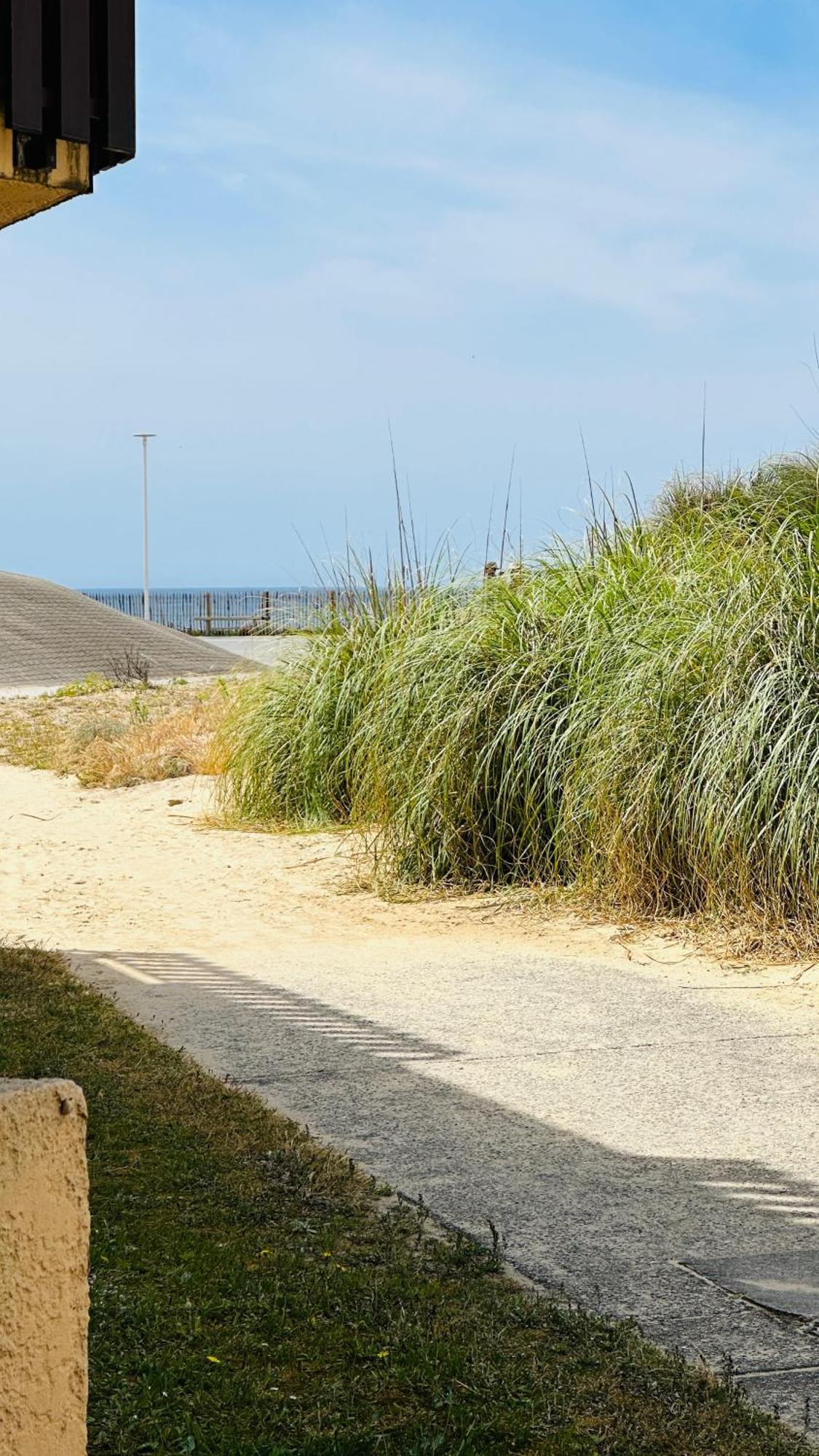 Appartement 2 A 4 Personnes A 50M De La Plage Lacanau Zewnętrze zdjęcie