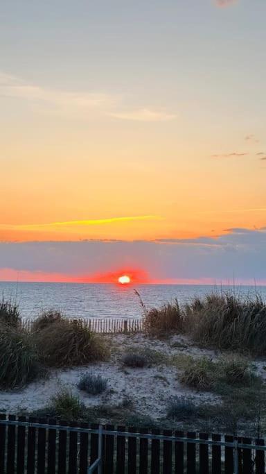Appartement 2 A 4 Personnes A 50M De La Plage Lacanau Zewnętrze zdjęcie