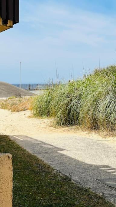 Appartement 2 A 4 Personnes A 50M De La Plage Lacanau Zewnętrze zdjęcie